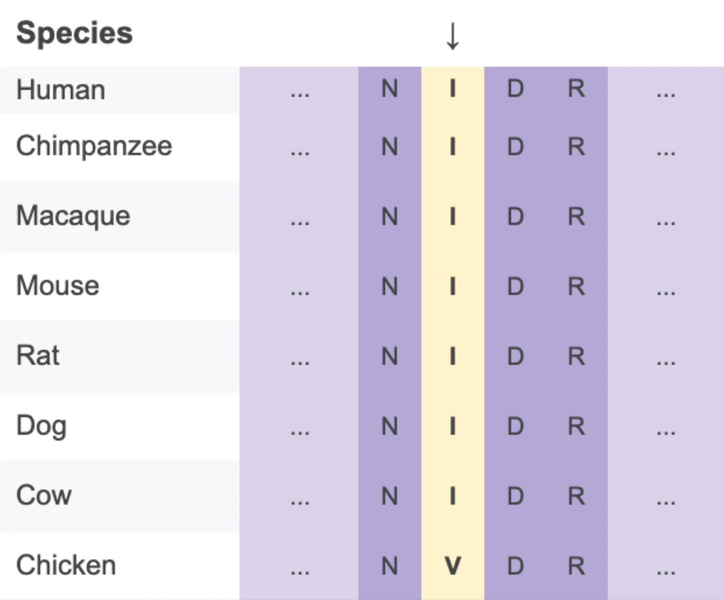 UniProt sequence alignment across several mammal species